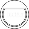 FEDER 8778630700 Piston
